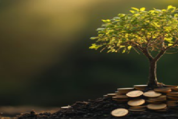 Sustainable  stabilization  policies bear fruits as expected